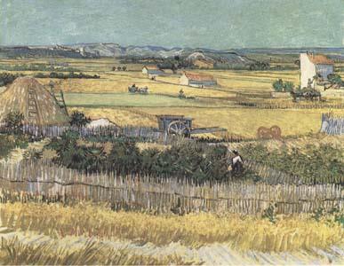 Vincent Van Gogh Harvest at La Crau,with Montmajour in the Background (Blue Cart) (mk09) Spain oil painting art